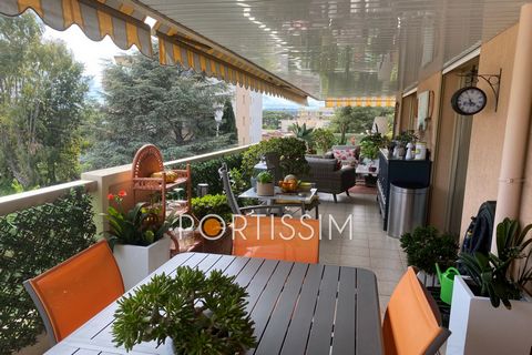 photo no. 11