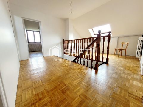 photo no. 11