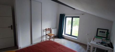photo no. 6