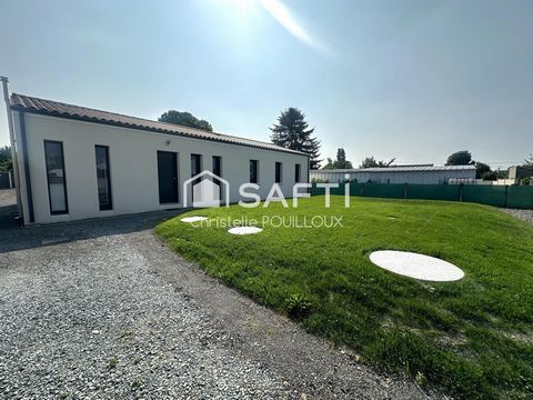 photo no. 11