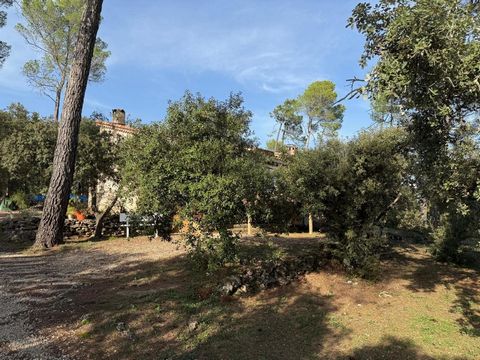 photo no. 14