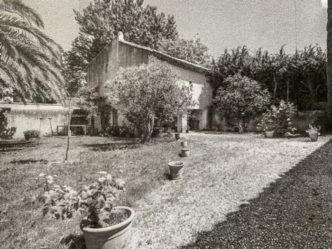 photo no. 5