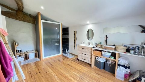 photo no. 10