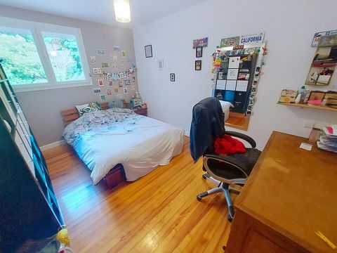 photo no. 11