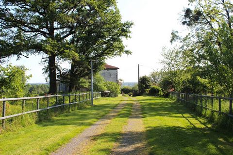 photo no. 15