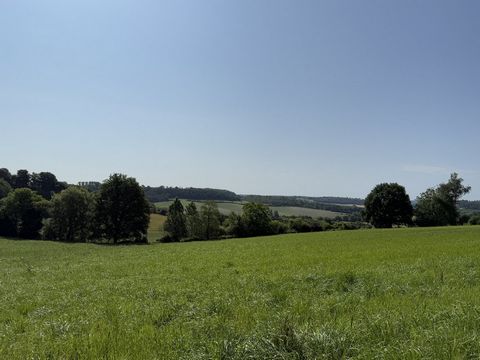 photo no. 1