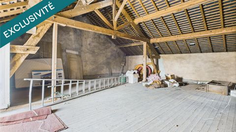 photo no. 11
