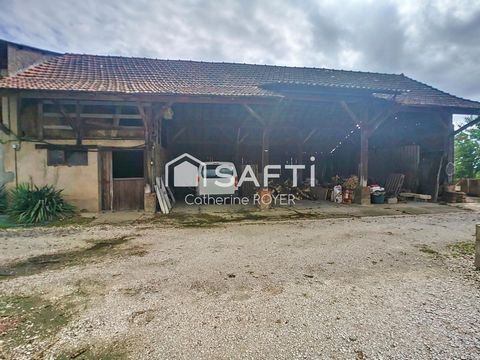 photo no. 4