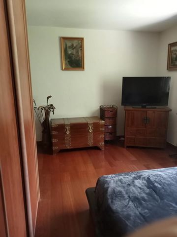 photo no. 12