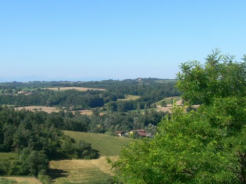 photo no. 11