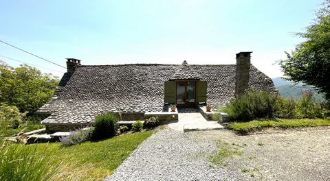 photo no. 21