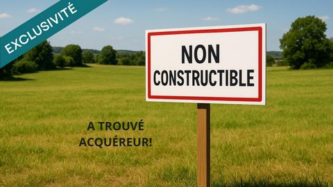 Vaste parcelle en zone naturelle