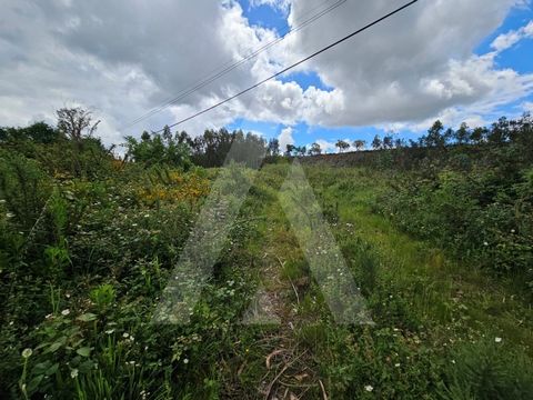 Excelente oportunidade de investimento! Terreno com viabilidade de construção, localizado em Águeda, inserido em zona de construção Tipo 2, com uma área total de 8.650 m², este imóvel é composto por dois artigos e dispõe de uma frente com 60 metros a...