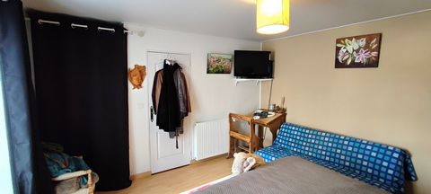 photo no. 6