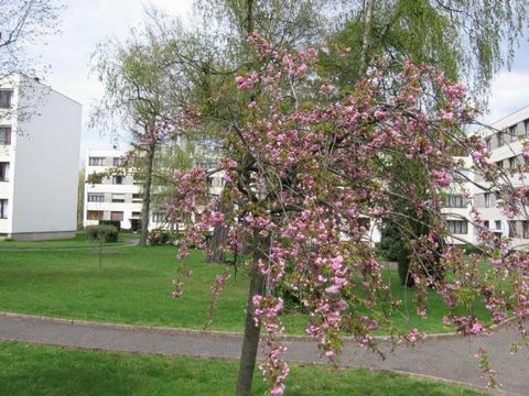 photo no. 5