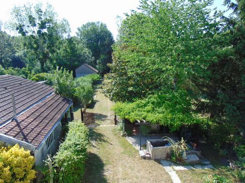 photo no. 1