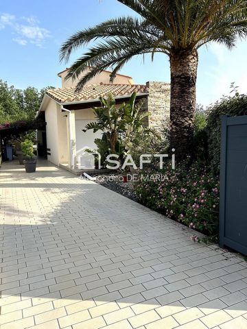 photo no. 15
