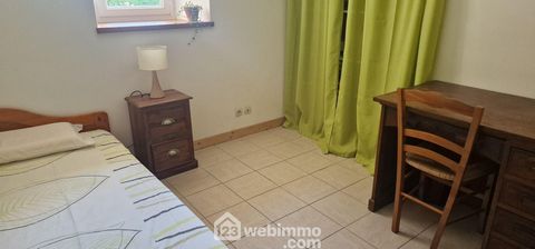 photo no. 12