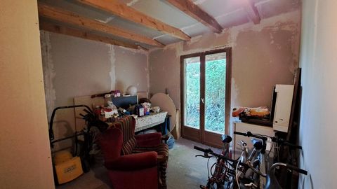 photo no. 6