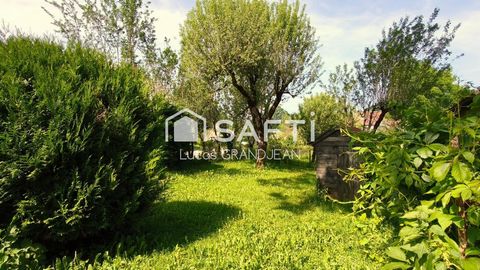 photo no. 11