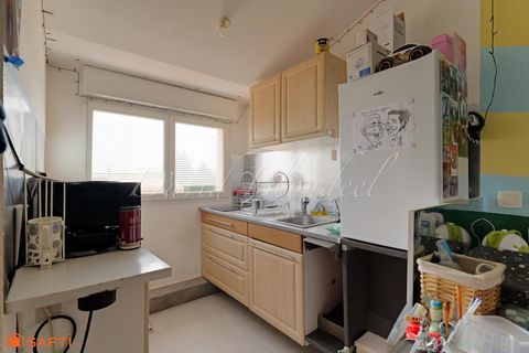 photo no. 15