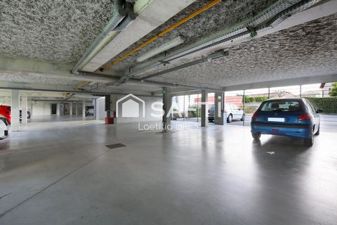 photo no. 6