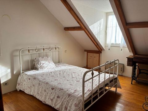 photo no. 8