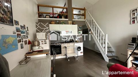photo no. 14