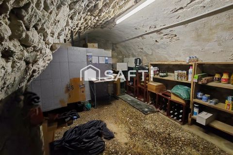 photo no. 11