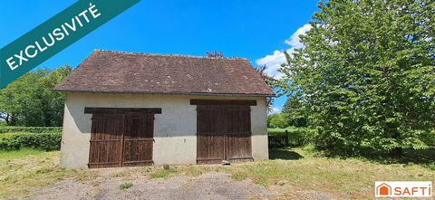 photo no. 13