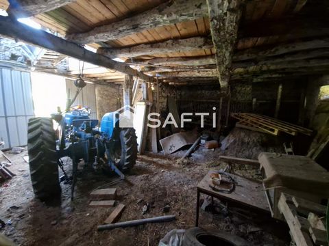 photo no. 4