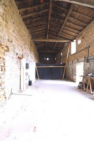photo no. 15