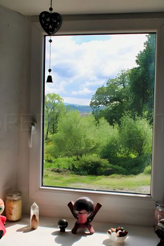 photo no. 3