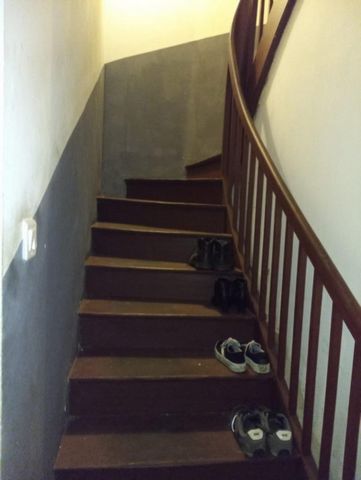 photo no. 4
