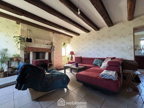 photo no. 14