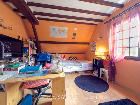 photo no. 11