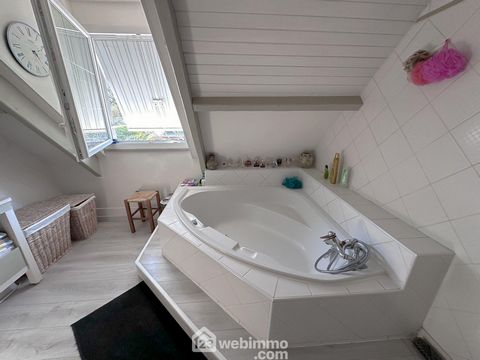 photo no. 12