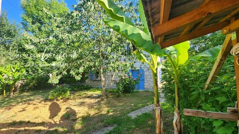 photo no. 15