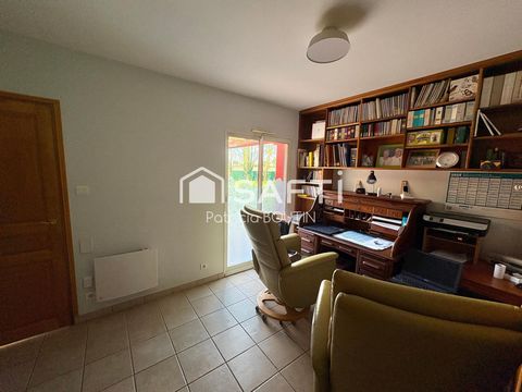 photo no. 8