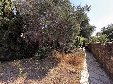 photo no. 10