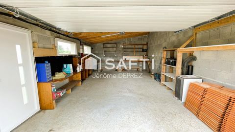 photo no. 8