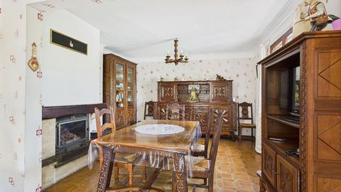 photo no. 3