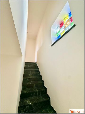 photo no. 6