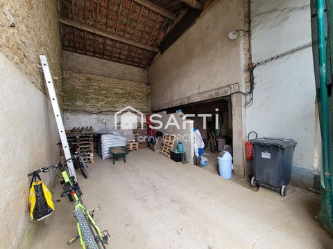 photo no. 9