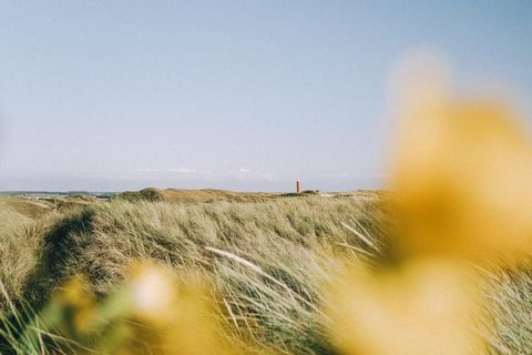 Deze charmante villa's met rieten dak, gelegen op het rustige vakantiepark Duynzicht, combineren tijdloos Nederlands design met moderne verwennerij. Met verschillende wellnessgerichte indelingen – sommige met privésauna of een bubbelbad in de tuin – ...