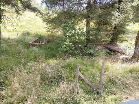 photo no. 8