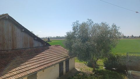 photo no. 1