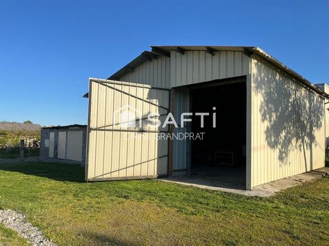 photo no. 14
