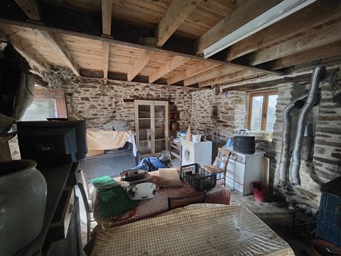 photo no. 18