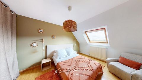 photo no. 11